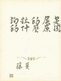 狗拉的屎是白色的什么原因