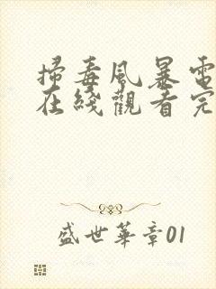 扫毒风暴电视剧在线观看完整版免费观看