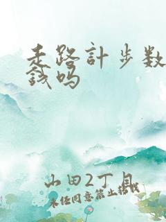 走路计步数能赚钱吗