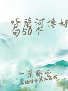 呼兰河传好词好句50个