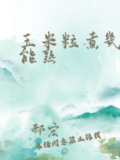 玉米粒煮几分钟能熟