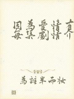 因为爱情有多美每集剧情介绍