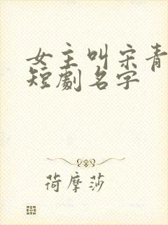 女主叫宋青梨的短剧名字