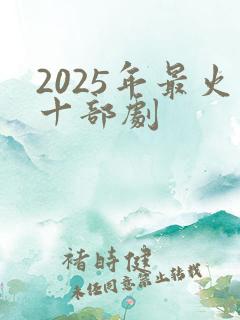 2025年最火十部剧