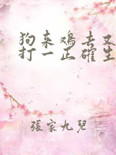 狗来鸡去又一年打一正确生肖