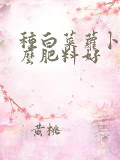 种白菜萝卜用什么肥料好