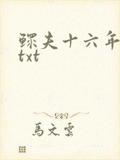 鳏夫十六年番外txt