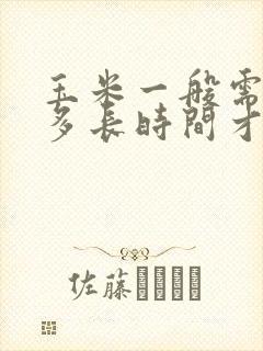 玉米一般需要煮多长时间才可以熟
