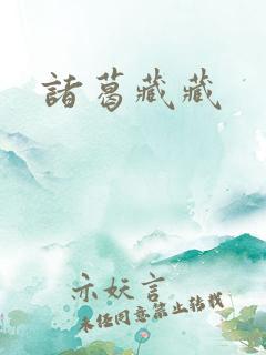 诸葛藏藏