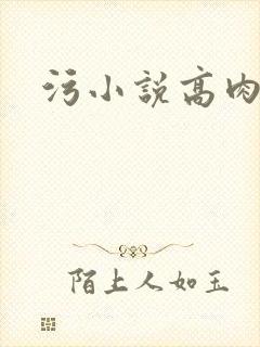 污小说高肉h