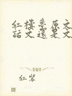 红楼梦原文是白话文还是文言文