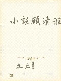 小说顾清淮陈禾