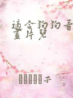 适合狗狗看的动画片儿 适合狗狗看的动画片儿