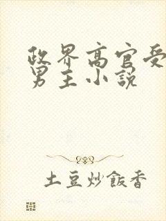 政界高官受的双男主小说
