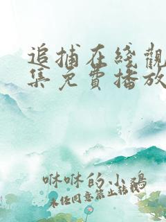 追捕在线观看全集免费播放