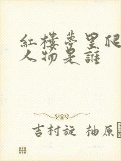 红楼梦里爬灰的人物是谁