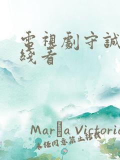电视剧守诚者在线看