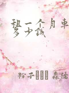 租一个月车需要多少钱