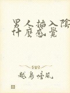 男人插入阴道有什么感觉