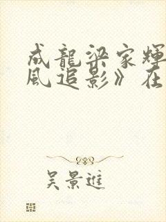 成龙梁家辉《捕风追影》在线观看