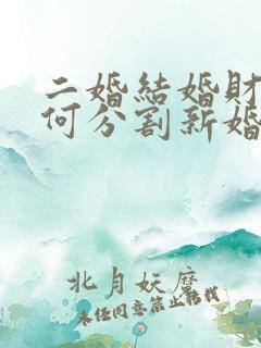 二婚结婚财产如何分割新婚姻法