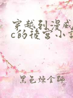 穿越到漫威或dc的后宫小说