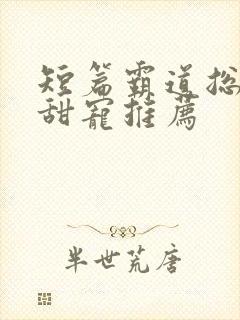 短篇霸道总裁文甜宠推荐