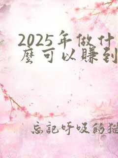 2025年做什么可以赚到钱 2025年做什么可以赚到钱