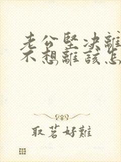 老公坚决离婚我不想离该怎样办
