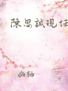 陈思诚现任老婆