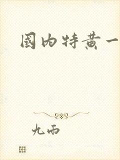 国内特黄一级片