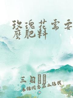 玫瑰花需要施什么肥料