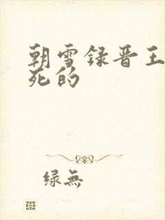 朝雪录晋王怎么死的