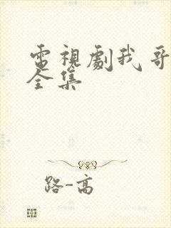 电视剧我哥我嫂全集 电视剧我哥我嫂全集