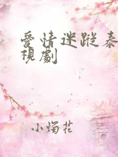 爱情迷踪泰剧电视剧