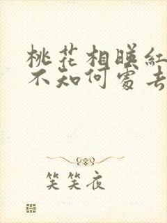 桃花相映红人面不知何处去桃花依旧笑春风