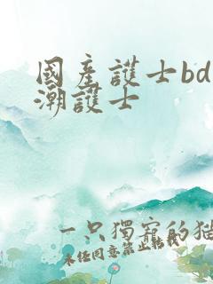 国产护士bd高潮护士