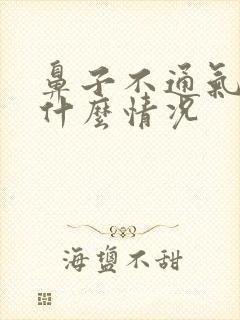 鼻子不通气打鼾什么情况