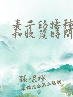 麦子的播种时间和收获时间
