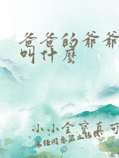 爸爸的爷爷奶奶叫什么