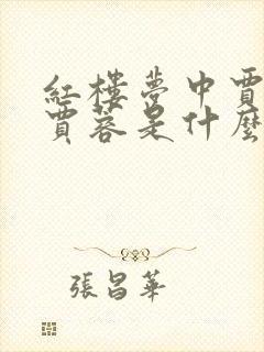 红楼梦中贾琏和贾蓉是什么关系