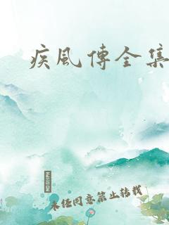 疾风传全集 疾风传全集
