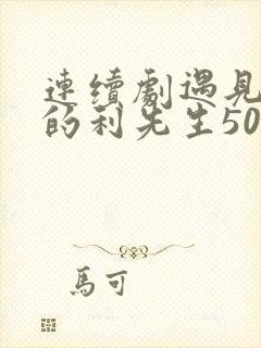 连续剧遇见爱情的利先生50集