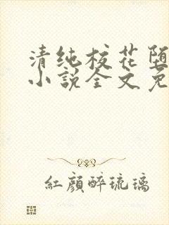 清纯校花堕落记小说全文免费阅读 清纯校花堕落记小说全文免费阅读