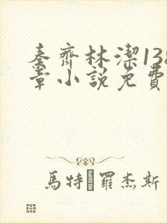 秦齐林洁138章小说免费阅读目录
