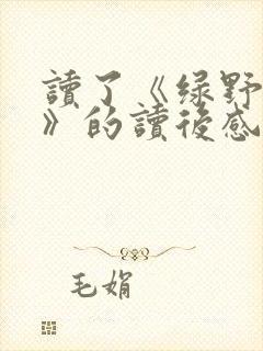 读了《绿野仙踪》的读后感300字