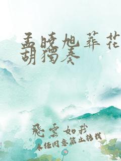 孟晓旭葬花吟二胡独奏 孟晓旭葬花吟二胡独奏