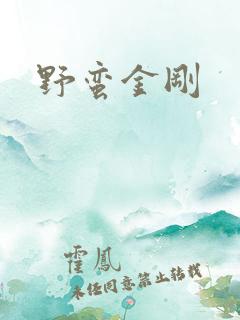 野蛮金刚
