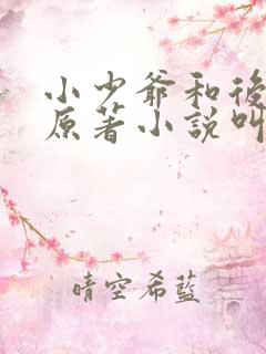 小少爷和后妈们原著小说叫什么名字