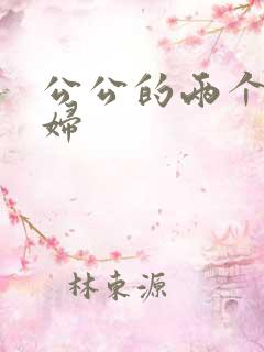 公公的两个儿媳妇